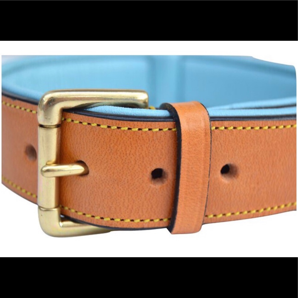 BLUE LEATHER DOG COLLAR